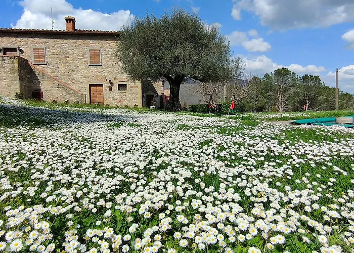 Casale Le Sette Vene
