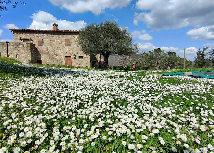 Casale Le Sette Vene