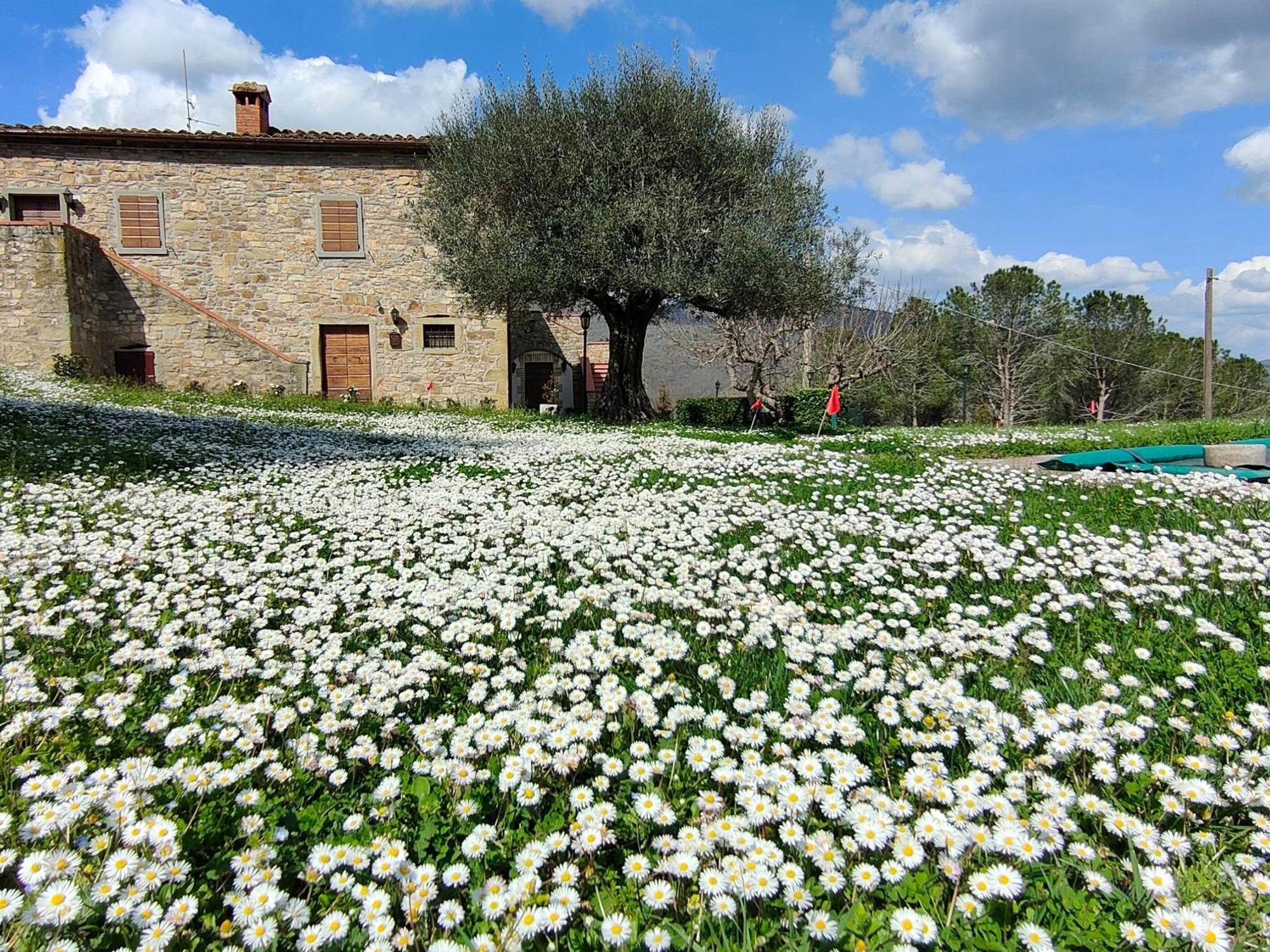 Casale Le Sette Vene Villa