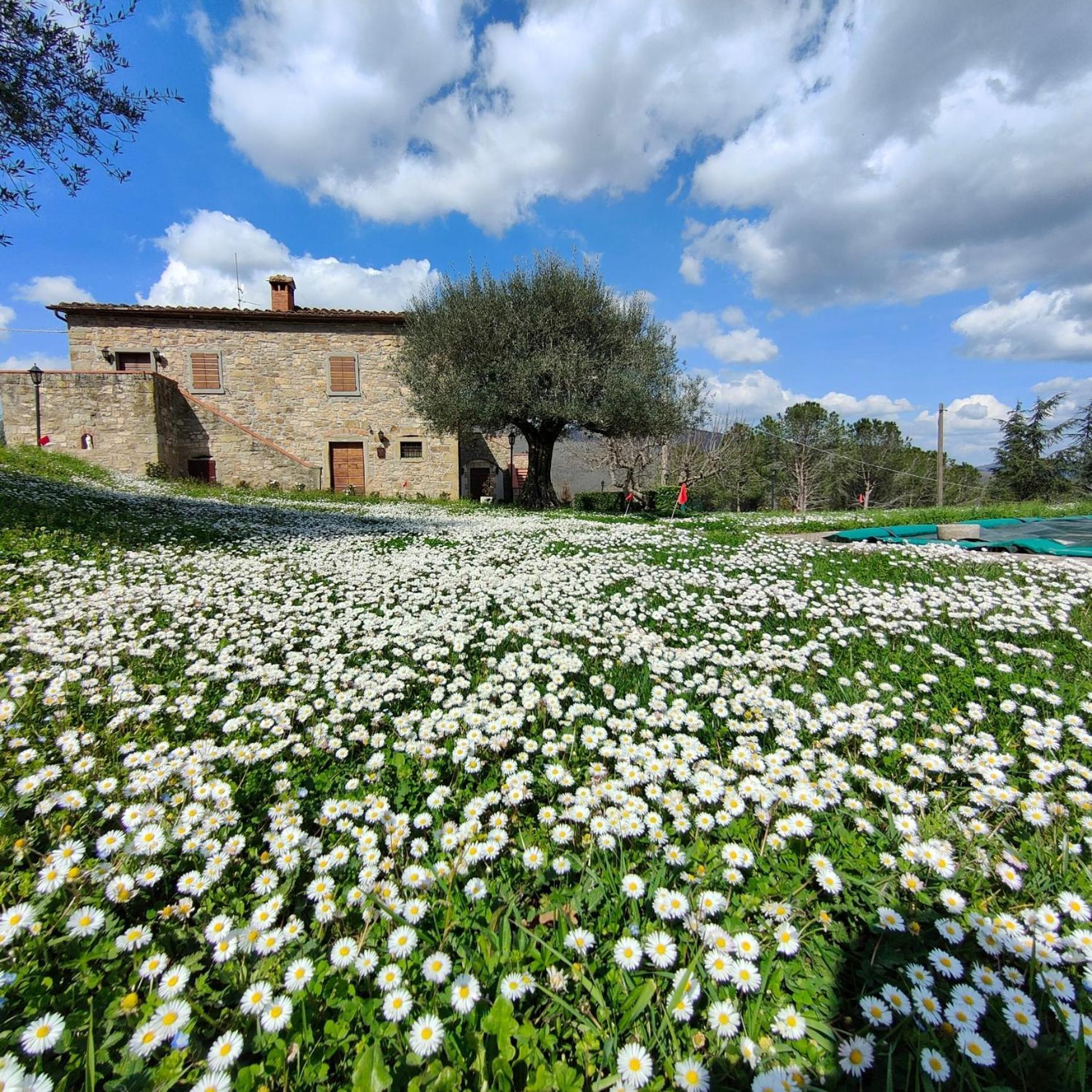 Casale Le Sette Vene Villa *
