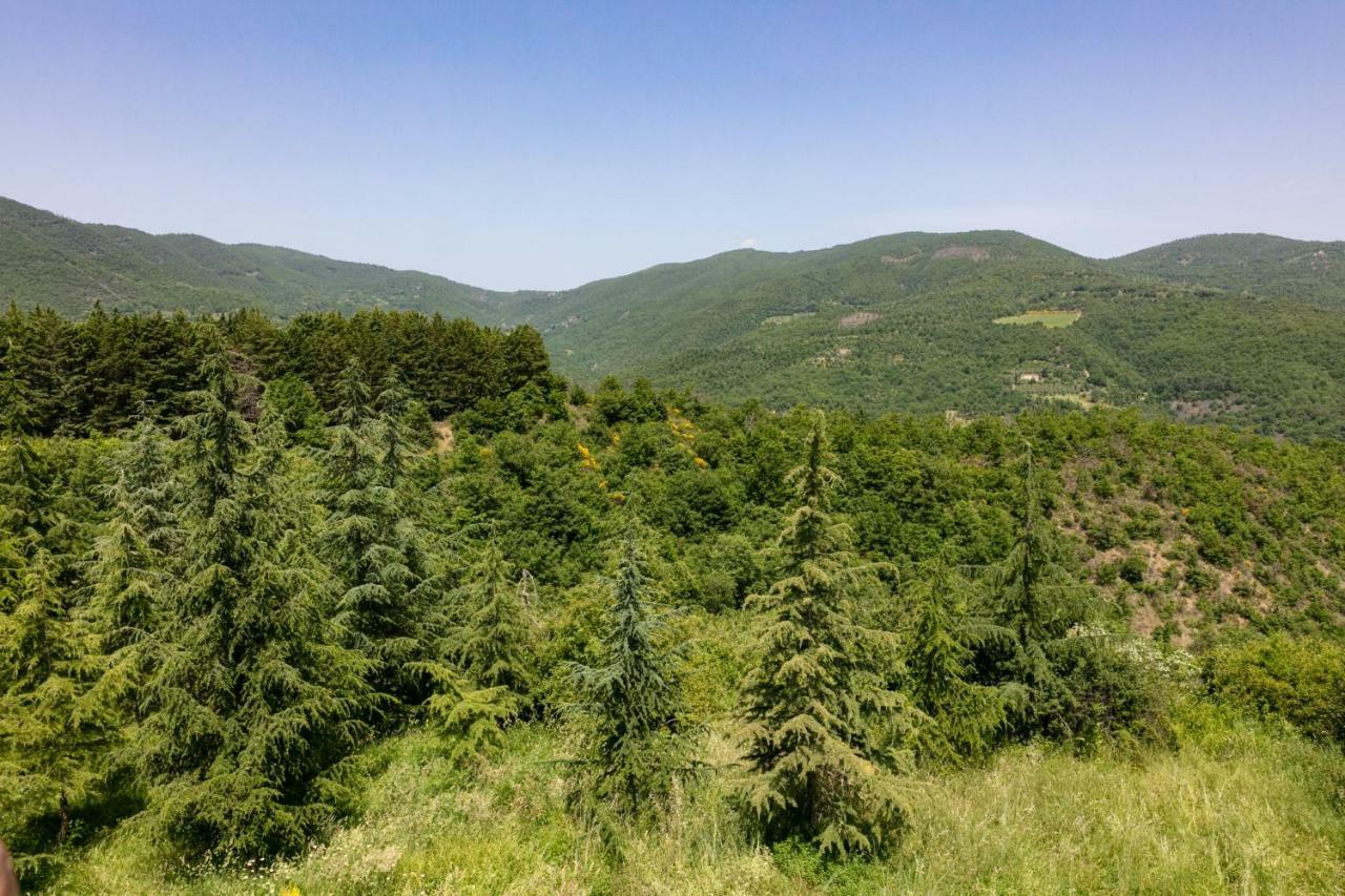 Villa Casale Le Sette Vene *
